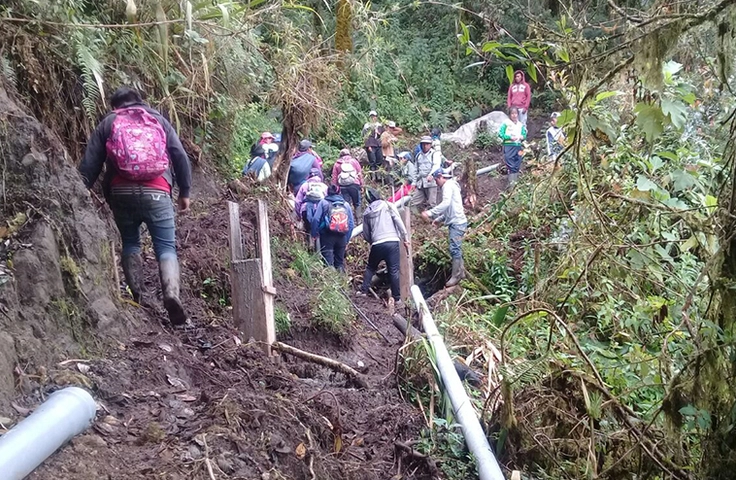 Travaux d'installation de canalisation dans une forêt d'Andes équatoriennes 