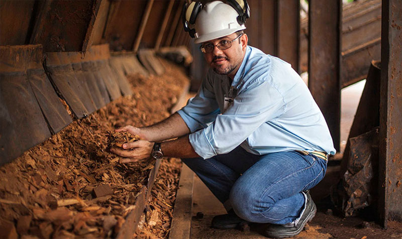 image d'un homme montrant des copeaux de bois qui servent à alimenter une centrale électrique