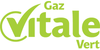 logo électricité Vitale Vert